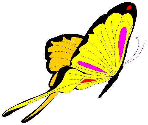 clip art butterflies. Free Clipart - The Butterfly