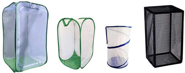 Educational Science Butterfly Cages