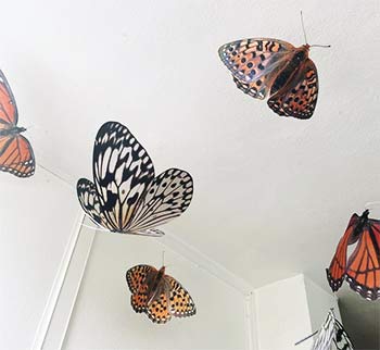Large Paper Hanging Butterflies