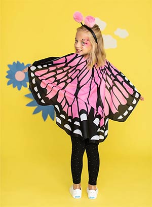 Butterfly Wings Costume Set