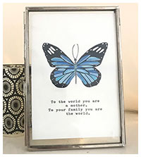 Framed Butterfly Quotes