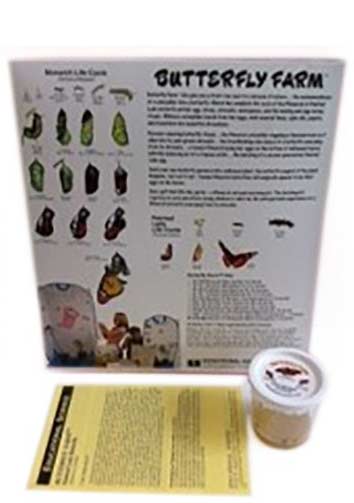 Live Butterfly Kit from Educational Science, 3-6 caterpillars