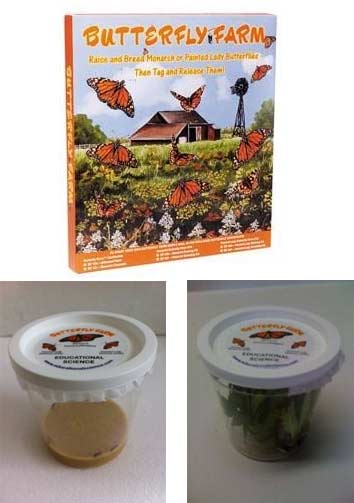 Live Butterfly Kit from Educational Science, 3-6 caterpillars