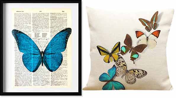 Butterfly Kits, Field Guides, Butterfly Binoculars